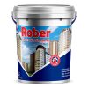 Rober Sơn lót chống kiềm ngoài trời 2 sơn lót chống kiềm ngoài trời Rober