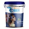 Rober Gold CT 1.1 A: Sơn chống thấm đa năng trộn xi măng 2 Rober Gold Sơn chống thấm đa năng trộn xi măng